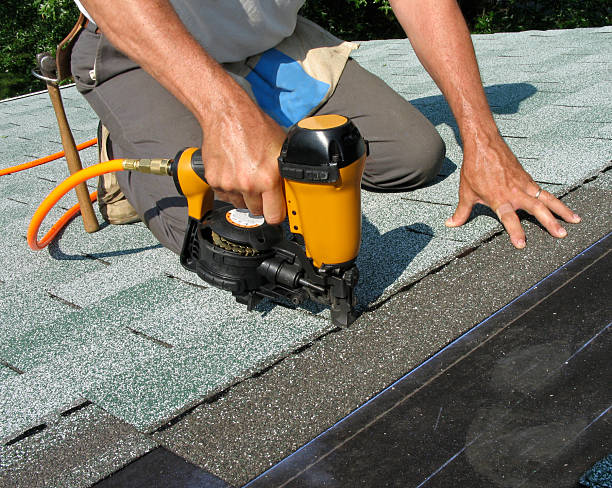 Best Roof Repair Services  in Tuscola, IL