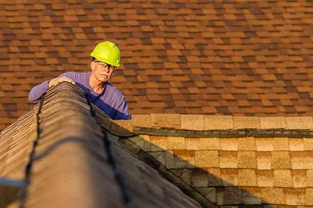 Best Local Roofing Companies  in Tuscola, IL