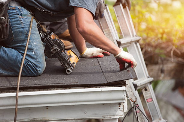 Best Roof Maintenance Services  in Tuscola, IL