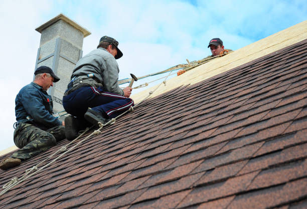 Best Flat Roof Repair Services  in Tuscola, IL