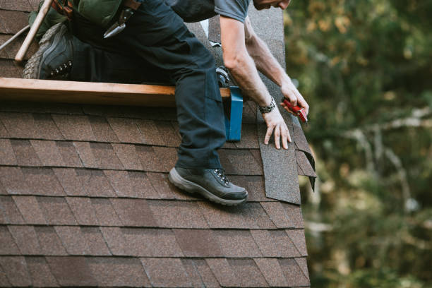 Best Roof Waterproofing Services  in Tuscola, IL